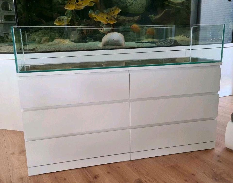 160x48x30 Aquarium 230l für IKEA Malm L-Wels Axolotl Meerwasser in Bad Nenndorf