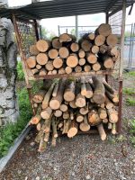 Brennholz Feuerholz Nordrhein-Westfalen - Erndtebrück Vorschau