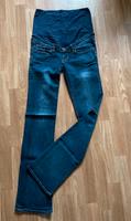 Umstandshose Schwangerschaft H&M Größe 36 Harztor - Niedersachswerfen Vorschau