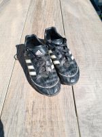 Fußballschuhe ⚽️ von Adidas Puntero Niedersachsen - Südergellersen Vorschau