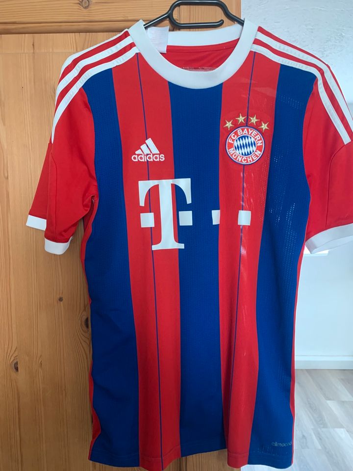 FC Bayern Trikots Kinder L/XL in Kappel-Grafenhausen