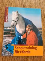 Scheutraining für Pferde Buch Niedersachsen - Braunschweig Vorschau