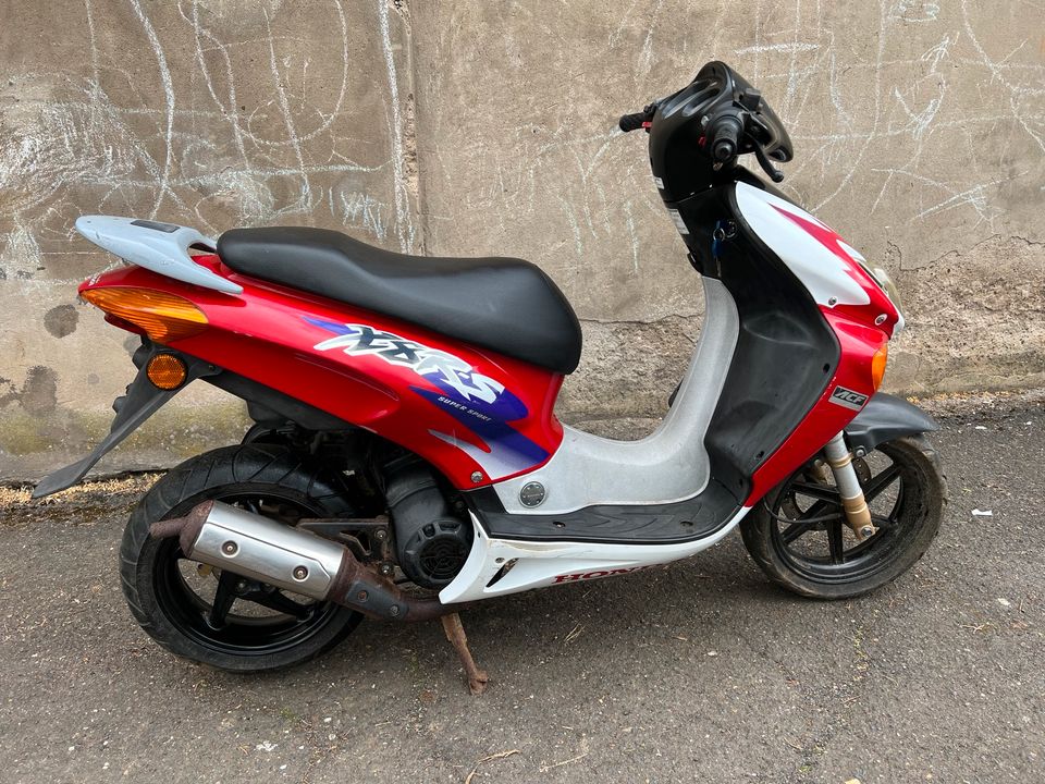 Honda X8RS Roller 50ccm in Burgbrohl