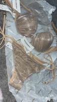 Bikini Set Golden Glitter Nordrhein-Westfalen - Nachrodt-Wiblingwerde Vorschau