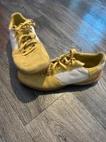 Nike Turnhallen Schuhe Größe 40.5 Berlin - Friedrichsfelde Vorschau