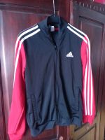 Trainingsjacke Adidas, Größe 152 Bayern - Augsburg Vorschau