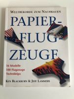 Papier Flugzeuge basteln Brandenburg - Rangsdorf Vorschau