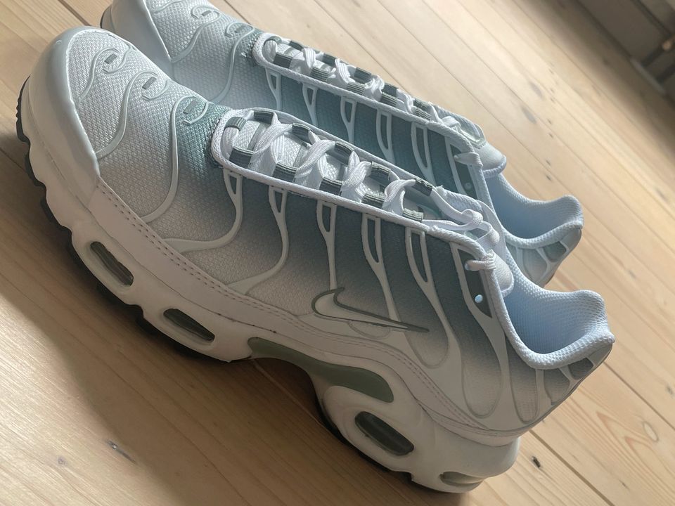 Nike Air Max plus in Weimar