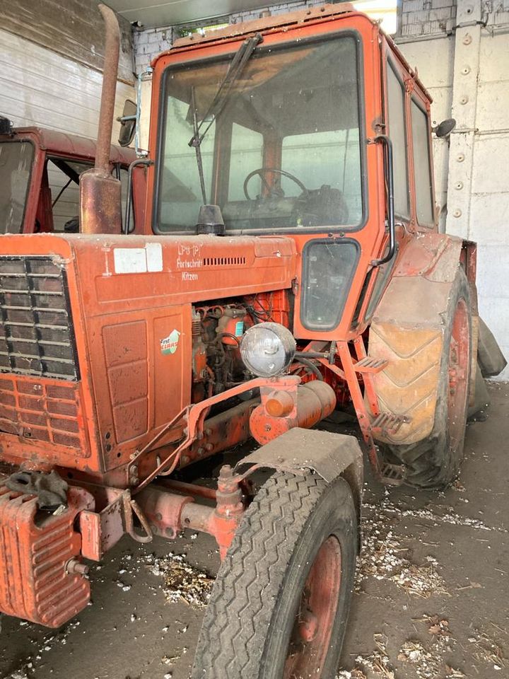 Traktor Belarus MTS 570 in Pegau
