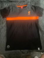 Liverpool FC T-Shirt 11-12 Jahre Sachsen - Gornau Vorschau