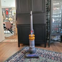 Dyson DC51 Bürstensauger Standstaubsauger Saarland - Friedrichsthal Vorschau