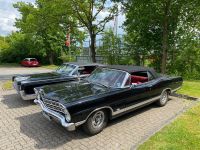 Ford Galaxie 500 ( USA) Cabriolet  1967 Motor 351 CUI Schleswig-Holstein - Strande Vorschau