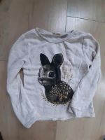 Shirt Langarm Hase, H&M. Größe 110/116 Dresden - Weixdorf Vorschau