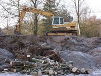 Baumfällung Schredderarbeiten Baumschnitt Stubbenrodung/ fräsen Harburg - Hamburg Rönneburg Vorschau