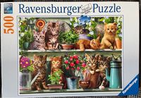 Puzzle 500 Teile Ravensburger Dresden - Pieschen Vorschau