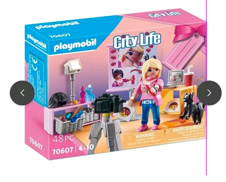 Große Playmobil Sammlung in Chemnitz