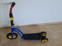 Puky Roller R 1 blau Tretroller Kinderroller Scooter 2-6 Jahre Baden-Württemberg - Aidlingen Vorschau