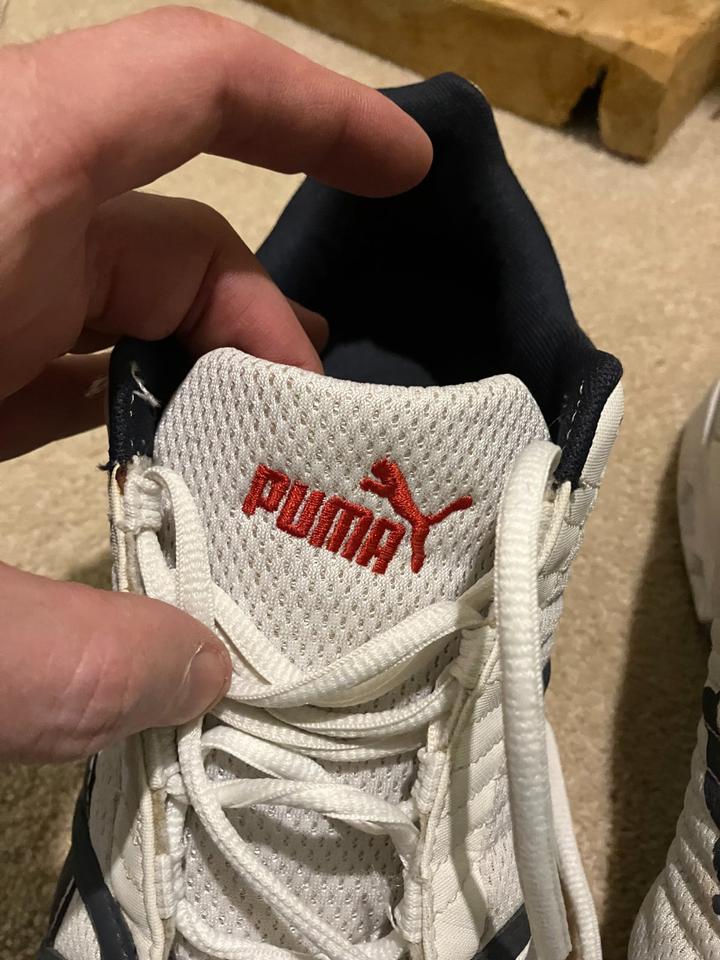 Puma Vellum Cell Indoor Hallen Turn-/Sportschuhe Gr. 44/43 in Mörfelden-Walldorf