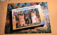 Katzen Puzzle Ravensburger Super 100 (104 Teile) Baden-Württemberg - Eberdingen Vorschau