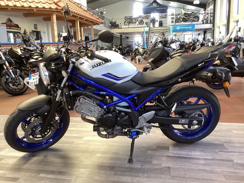 Suzuki SV 650 in Nordhorn