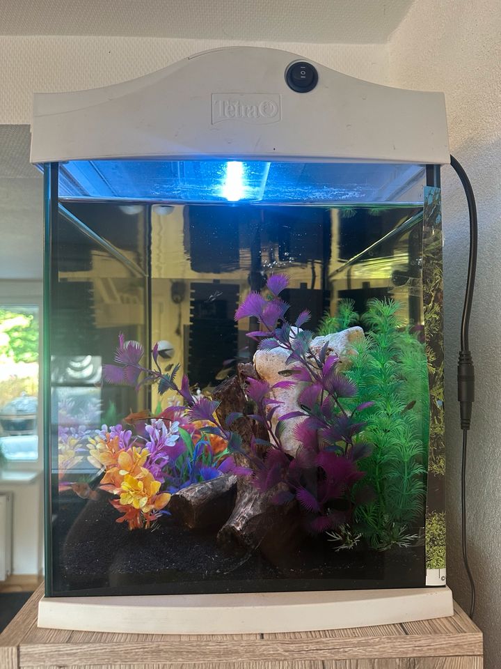 Tetra Aquarium 60l in Haiger