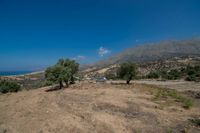 Kreta Triopetra Grundstück mit Meerblick in der Nähe von Agios Pa Wuppertal - Vohwinkel Vorschau