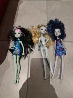 Monster High Puppen Stk 7 EUR Baden-Württemberg - Volkertshausen Vorschau