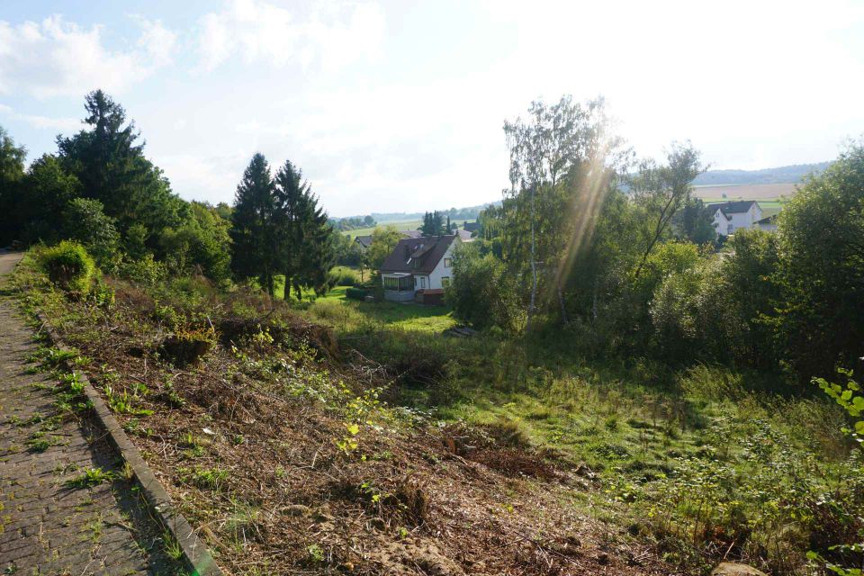 Das richtige Fleckchen für Ihre Zukunft! KEINE KÄUFERPROVISION! in Knüllwald