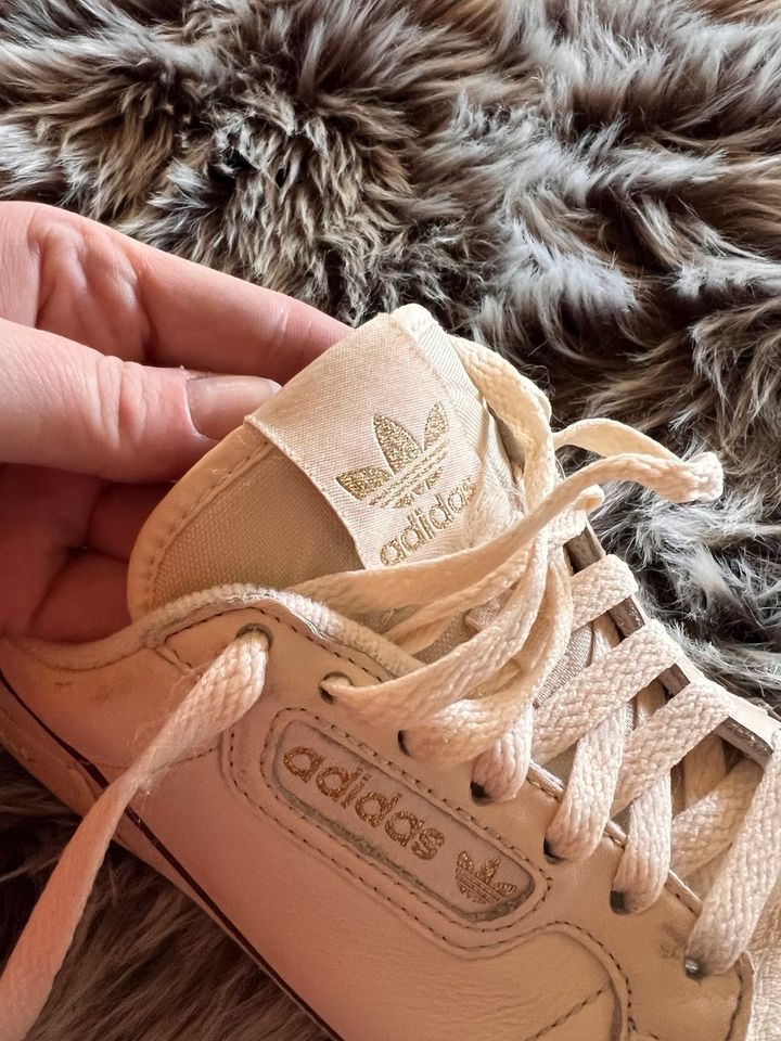 Adidas Continental 80 Sneaker in Eppertshausen