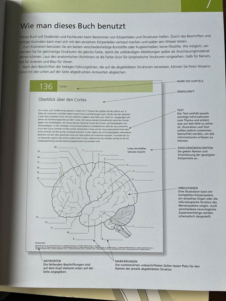 Das Lehrbuch vom Menschlichen Gehirn in Berlin