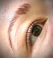 Wimpernlifting & Augenbrauenlifting Lashlifting Browlifting Herzogtum Lauenburg - Sandesneben Vorschau