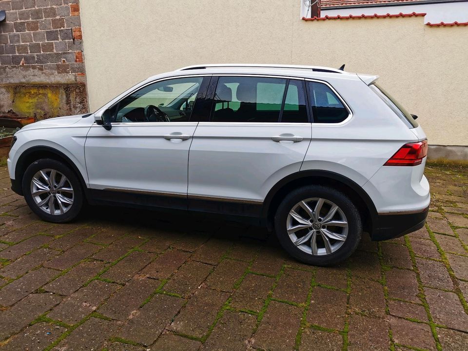 VW Tiguan TDI 4MOTION DSG LED HIGHLINE Autom Kamera AHK HUD weiß in Bad Langensalza