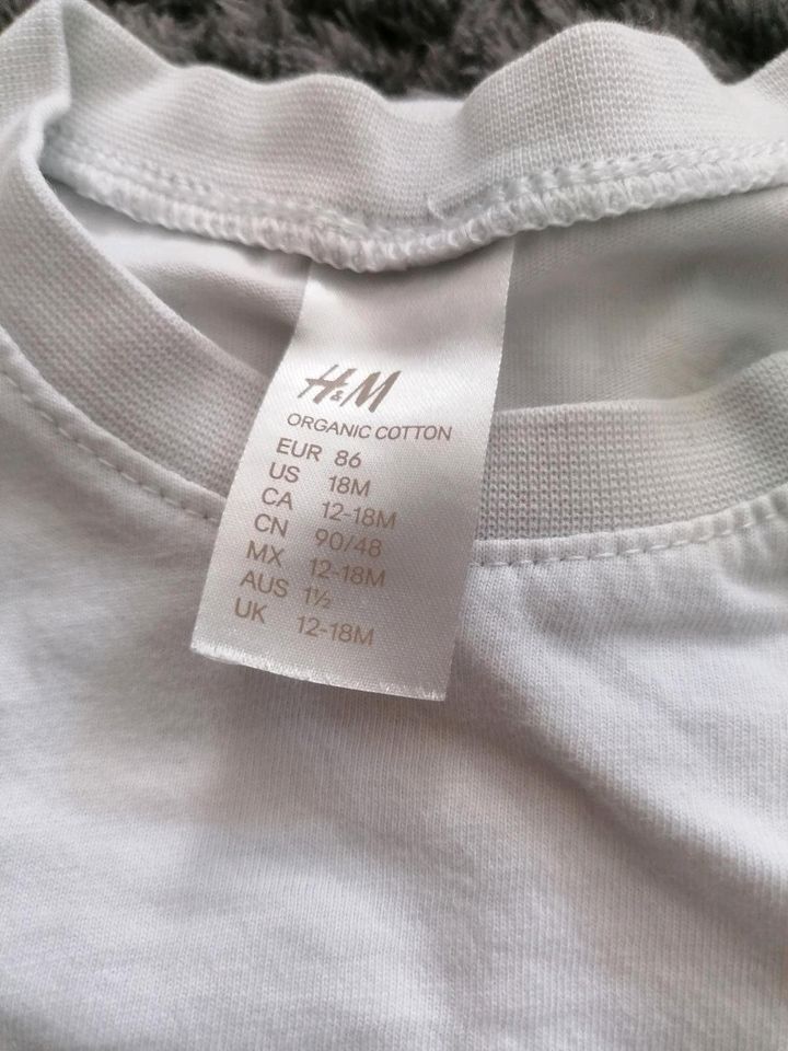 Doppelpack Langarmshirts 86 von h&m in Calberlah