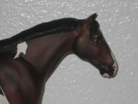 MODELLPFERD BREYER STUD SPIDER CM BAY PINTO D. GILLES USA LSQ Hessen - Oberursel (Taunus) Vorschau