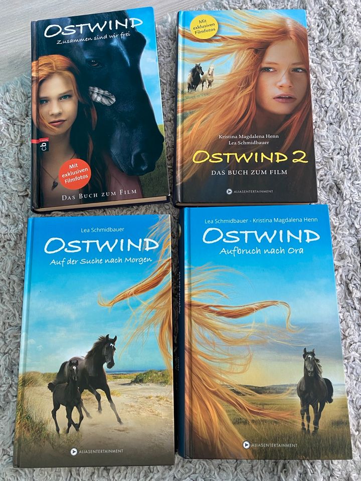 Ostwind Bücher 20€ komplett in Drochtersen