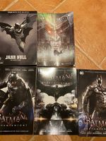 5 Batman Comics zu verkaufen! Brandenburg - Schönwalde-Glien Vorschau