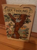 Altes Kinderbuch „Der Findling auf dem Vogelbaum“ Friedrichshain-Kreuzberg - Kreuzberg Vorschau