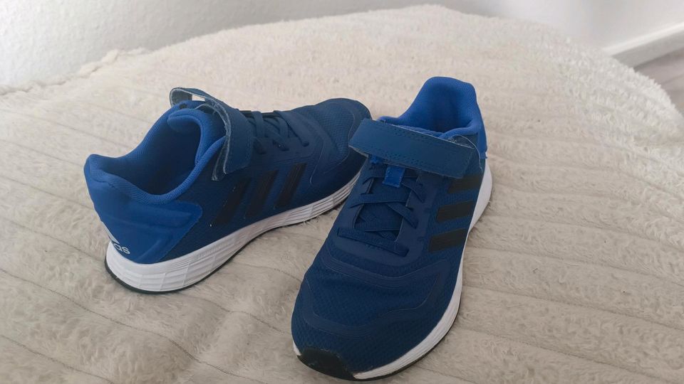 Blaue Adidas Turnschuhe Kinder Jungs Mädchen in Hamburg