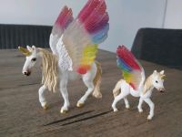 Bayala Schleich 70576, 70577 Einhorn, Fohlen Regenbogenflügeln Nordrhein-Westfalen - Rheinbach Vorschau