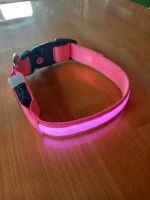 Halsband LED pink Gr.S Bayern - Riedenburg Vorschau