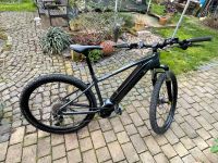 E-Bike Bionicon ERP 3, 29“, 625 Wh, MTB Hardtail Modellj.2021-22 Rheinland-Pfalz - Ludwigshöhe Rheinhessen Vorschau