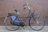 28 Zoll Pegasus Damen Holland Fahrrad Top Zustand Niedersachsen - Rhauderfehn Vorschau