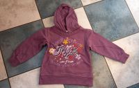 Pullover / sweatshirt / hoodie / Kapuzenpulli / Gr. 104 / zebrali Bayern - Hallstadt Vorschau