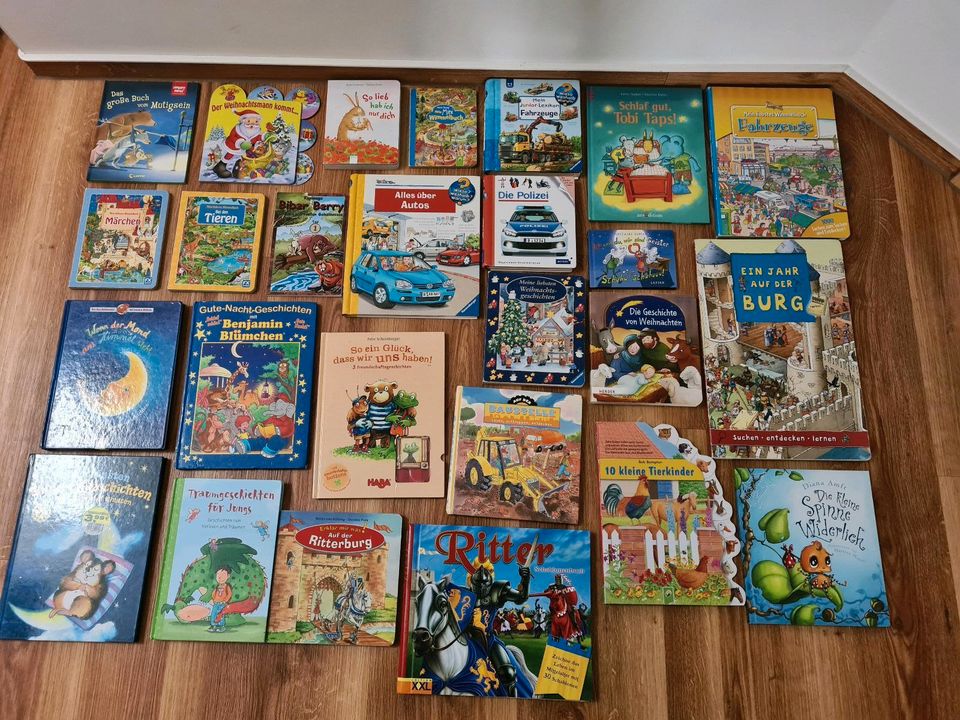 26 Kinderbücher in Planebruch