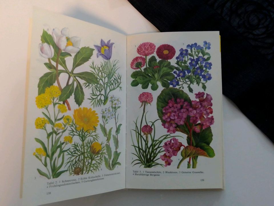 Taschenbuch Gartenblumen Meißner needon in Striegistal