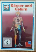 DVD Was ist was - Körper und Gehirn Hessen - Kaufungen Vorschau