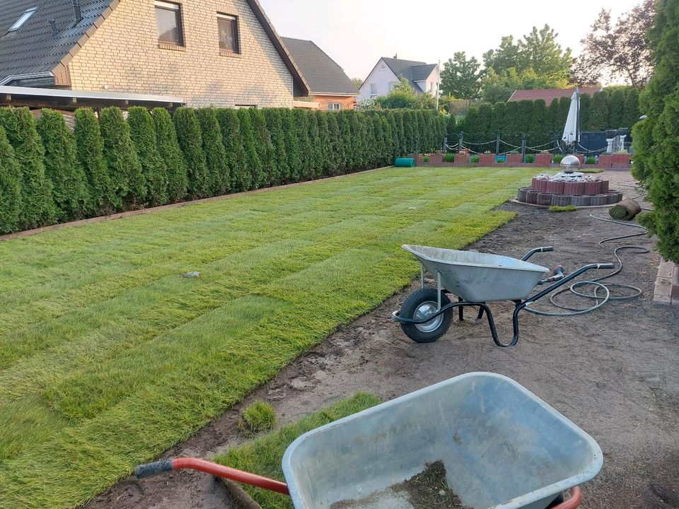 Rollrasen Baumpflege Baumfällung Heckenschnitt Gartenpflege in Berlin