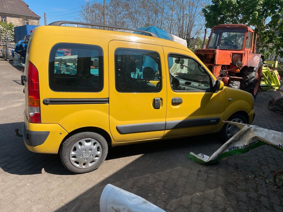 2x,Renault,Kangoo,Diesel,Transporter,Hundefänger in Wülknitz