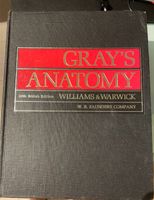 GRAY'S  ANATOMY  36th British Edition  WILLIAMS & WARWICK Nordrhein-Westfalen - Solingen Vorschau