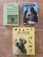 Hunde Bücher Wissen & Geschichten zu verschenken Baden-Württemberg - Ingelfingen Vorschau